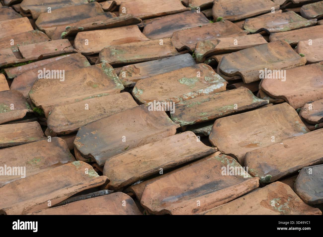 Borken, NRW, Allemagne, les tuiles de toit en terre cuite sont placées dans un motif soigné et superposé, mettant en valeur leurs couleurs terreuses. La scène capture la texture Banque D'Images