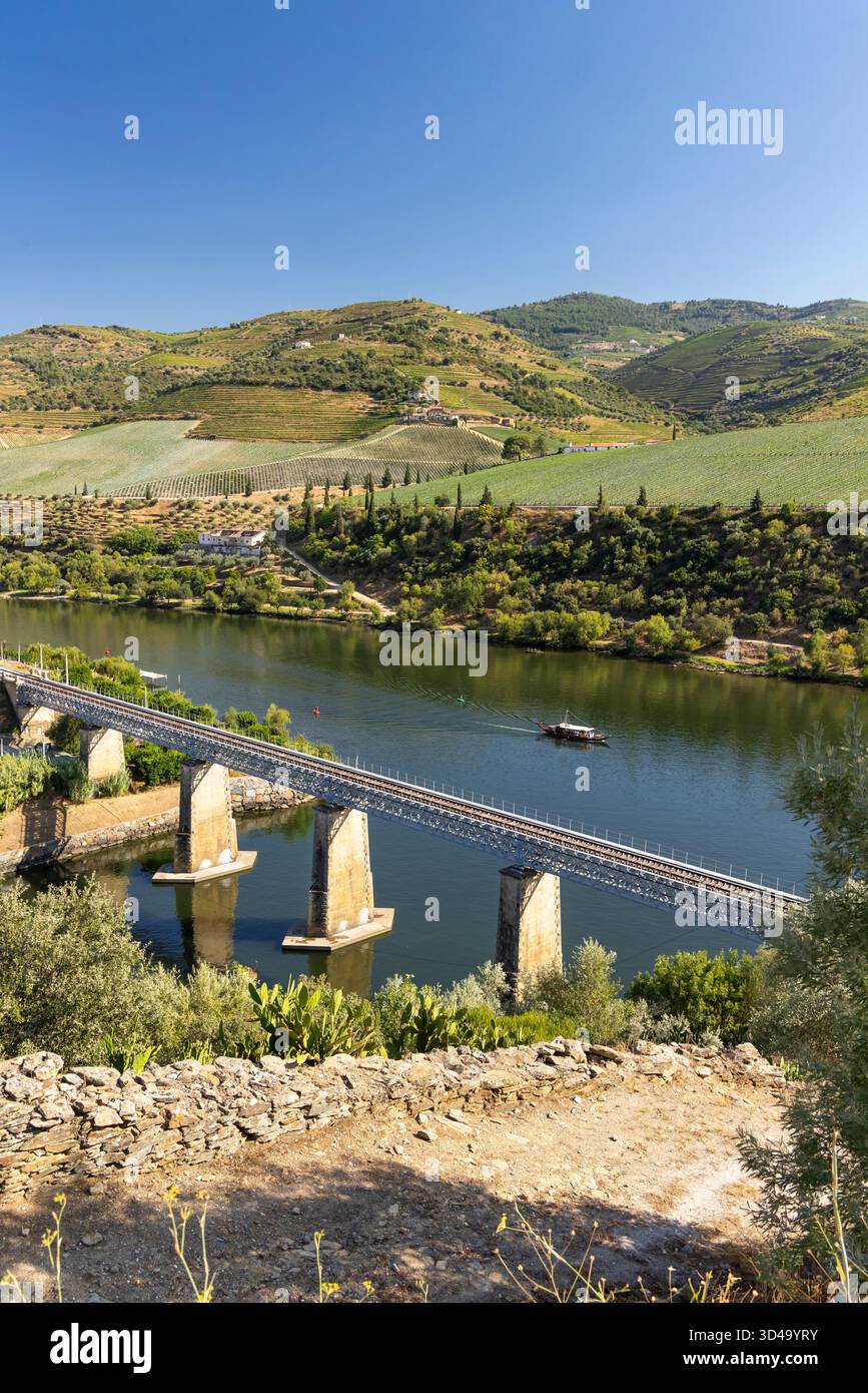 Vallée du fleuve Douro à Carrazeda de Ansiaes, Portugal, avec un pont ferroviaire et des vignobles en terrasses Banque D'Images