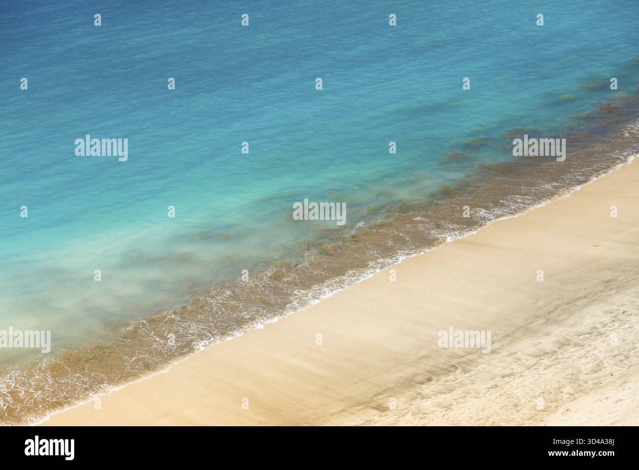 Une scène côtière avec une démarcation claire entre la plage de sable et l'océan. L'eau passe d'un turquoise pâle près du rivage à un plus profond Banque D'Images