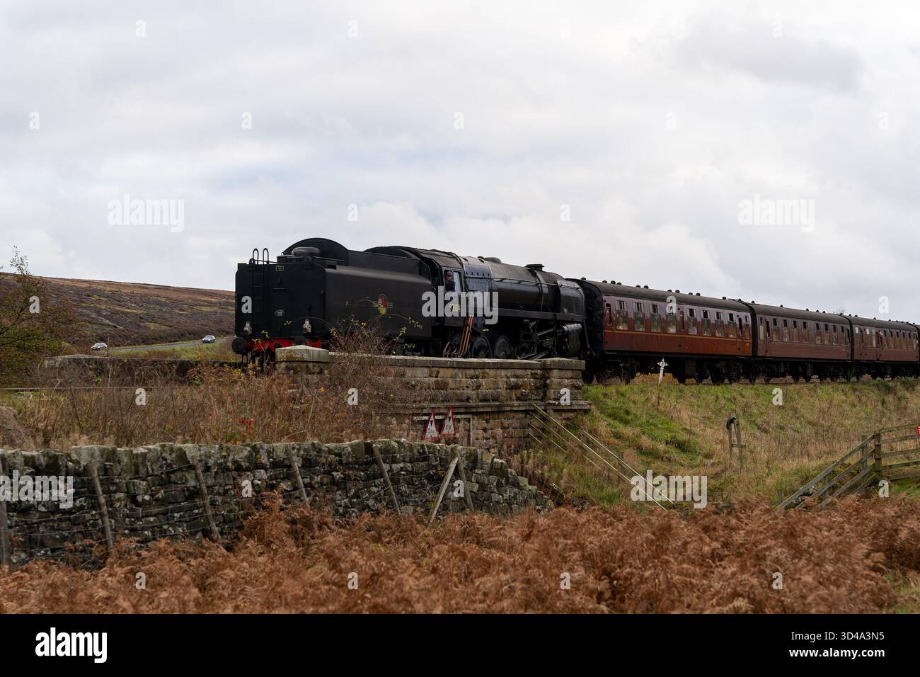 Locomotive à vapeur Scotsman volante traversant les landes du Yorkshire avec des voitures de passagers Banque D'Images