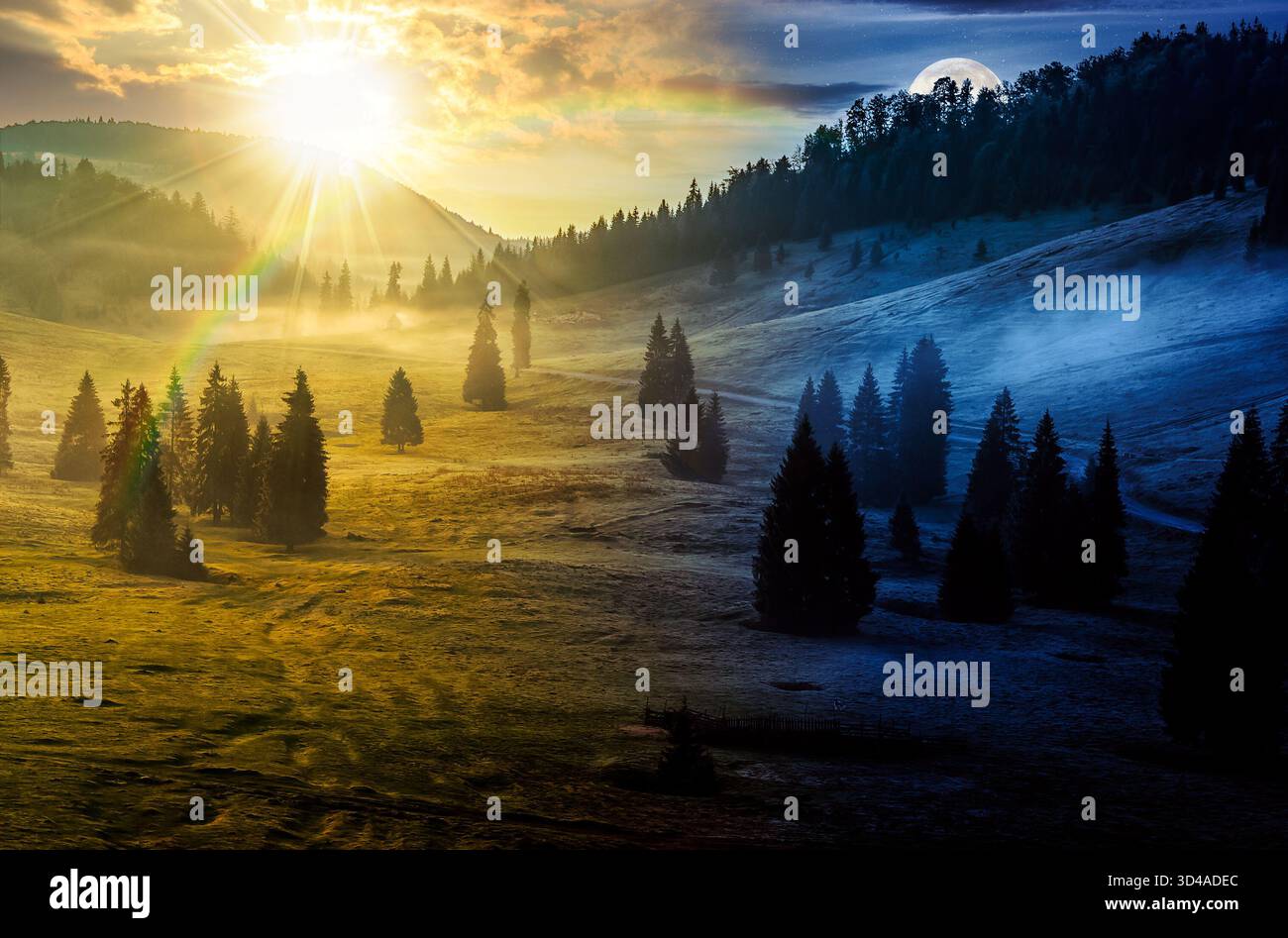 forêt d'épicéa sur le flanc d'une colline de montagne dans le brouillard. concept de changement de jour et de nuit. magnifique paysage naturel sur l'équinoxe d'automne avec soleil et lune au twili Banque D'Images