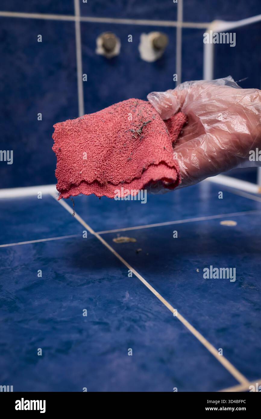 Nettoyage en douceur des carreaux, essuyage soigneux des carreaux, nettoyage en douceur des carreaux de céramique avec des chiffons doux, nettoyage de routine implique un essuyage délicat Banque D'Images