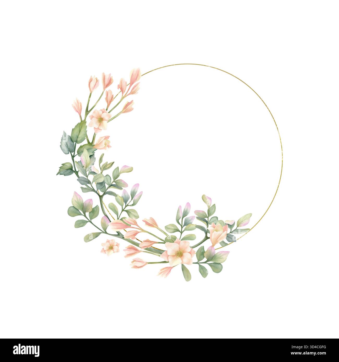 Couronne florale délicate, cadre de cercle de ligne dorée avec freesia beige, feuilles illustration pistache. Composition de printemps pastel dans un style rustique Banque D'Images