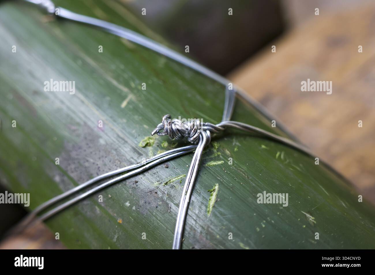 Vue rapprochée d'une feuille de bambou verte attachée solidement avec un fil métallique. le détail rustique montre un noeud fait à la main tenant l'emballage naturel ensemble pour cookin Banque D'Images