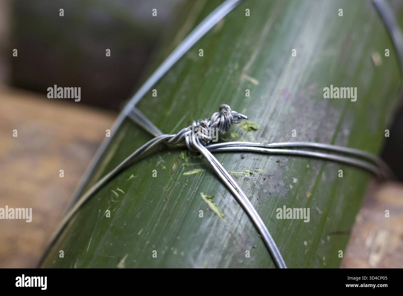 Gros plan sur le détail de la tige de bambou vert, solidement attaché avec un nœud de fil métallique solide. méthode de fixation rustique et naturelle montrant une connexion sécurisée pour craf Banque D'Images