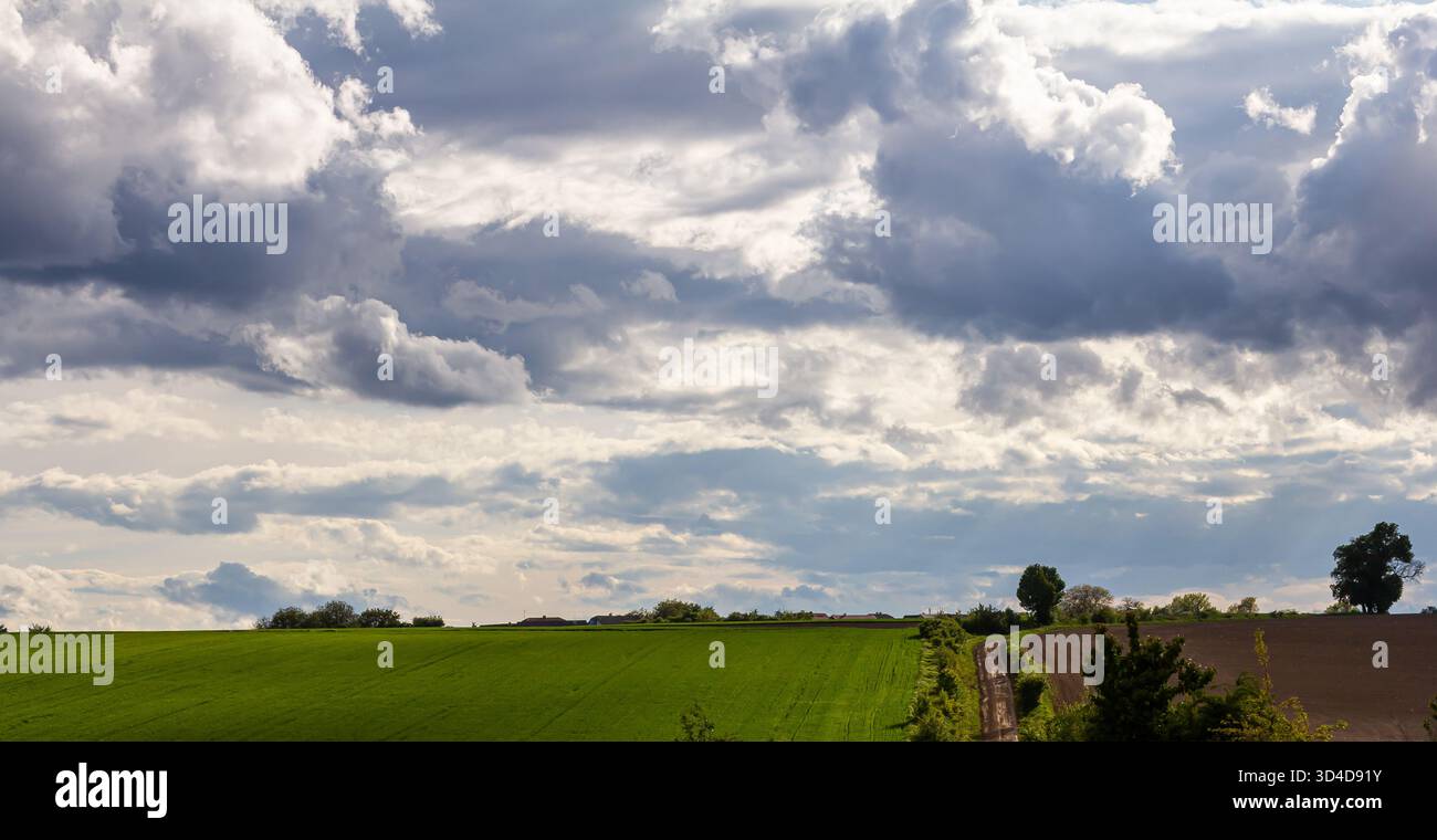 Des champs verdoyants s'étendent à travers le paysage parsemé d'arbres sous un ciel rempli de nuages dynamiques pendant la lumière de la fin de l'après-midi. Banque D'Images