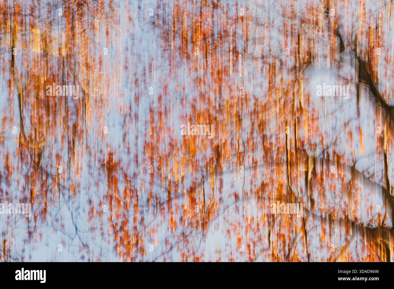 Le mouvement intentionnel de la caméra crée un effet abstrait rêveur de feuilles d'automne et de branches d'arbres dans des tons chauds. Banque D'Images