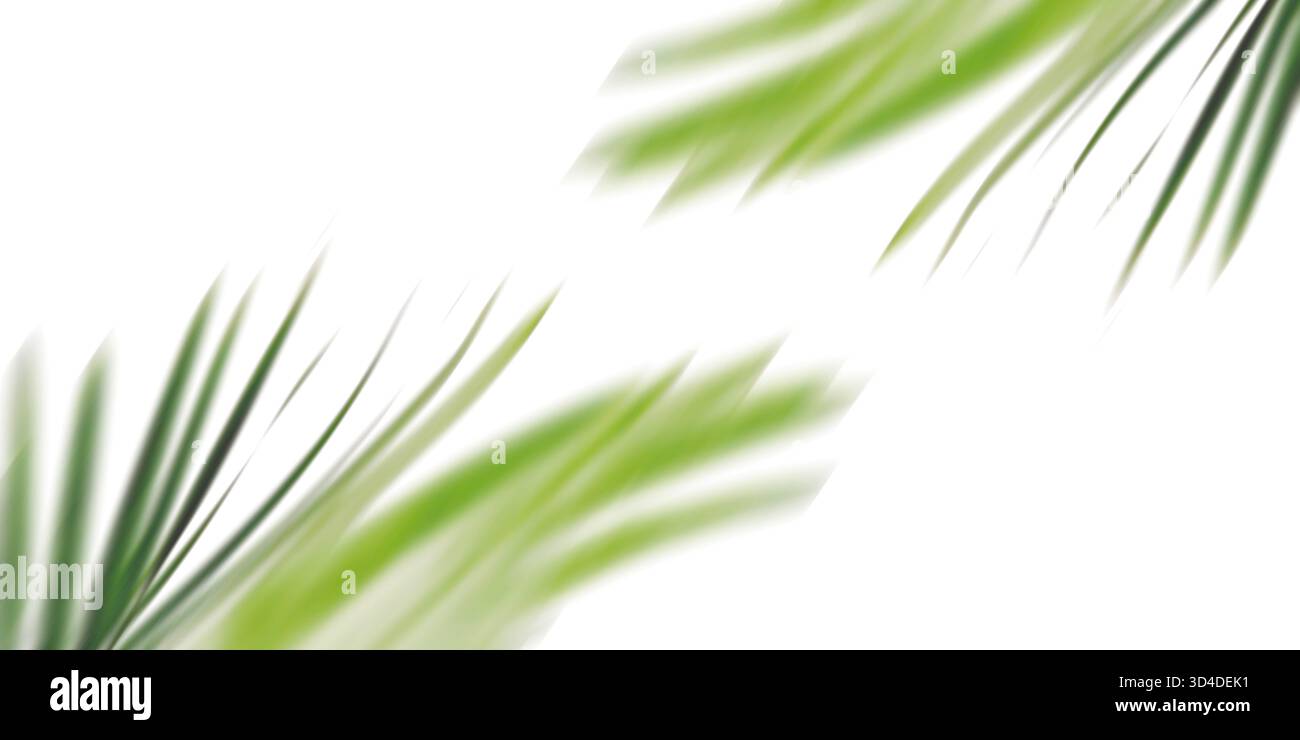 Effet de flou de mouvement abstrait dynamique appliqué aux feuilles de palmier lumineux sur fond blanc. Les stries de vert et blanc créent la vitesse de détection, movem Banque D'Images