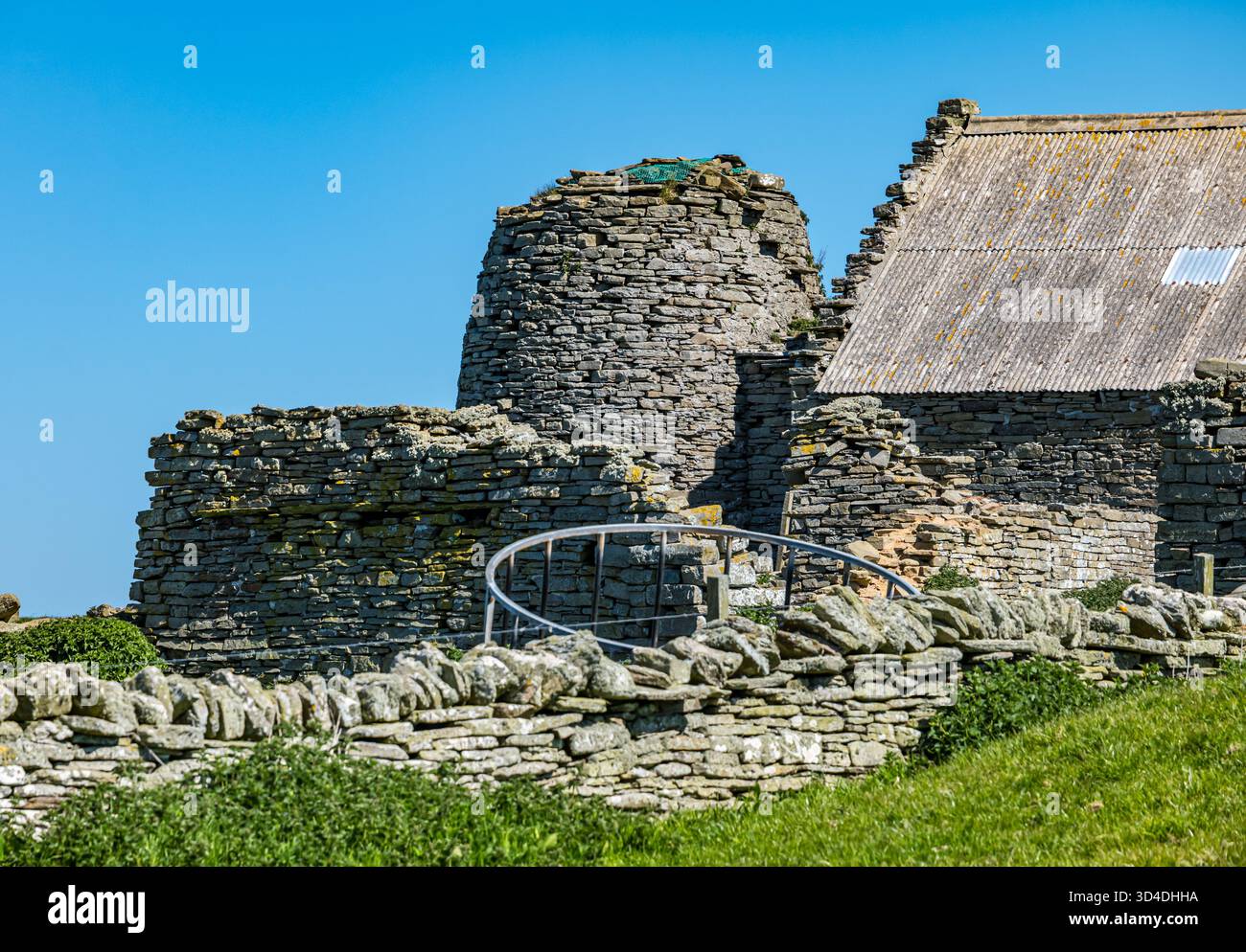 Four de séchage de maïs en forme de ruche en pierre inhabituel à Holland Farm, Papa Westray, Orcades Islands, Écosse, Royaume-Uni Banque D'Images