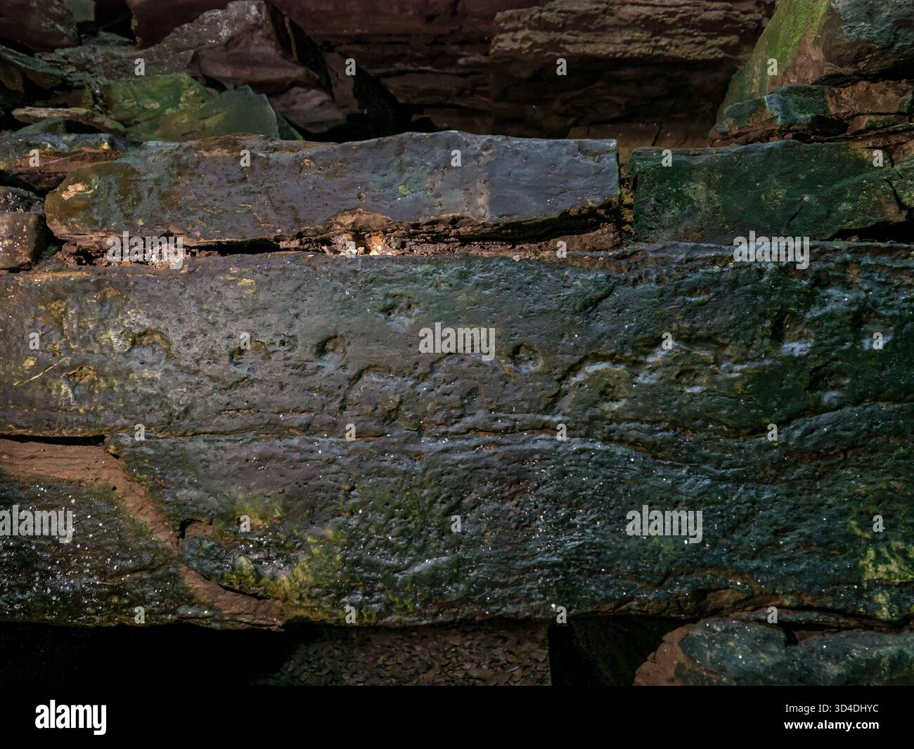 Sculptures rupestres à motifs néolithiques dans la chambre funéraire ou le cairn chambré, Holm of Papa, Papa Westray, Orcades, Écosse, ROYAUME-UNI Banque D'Images