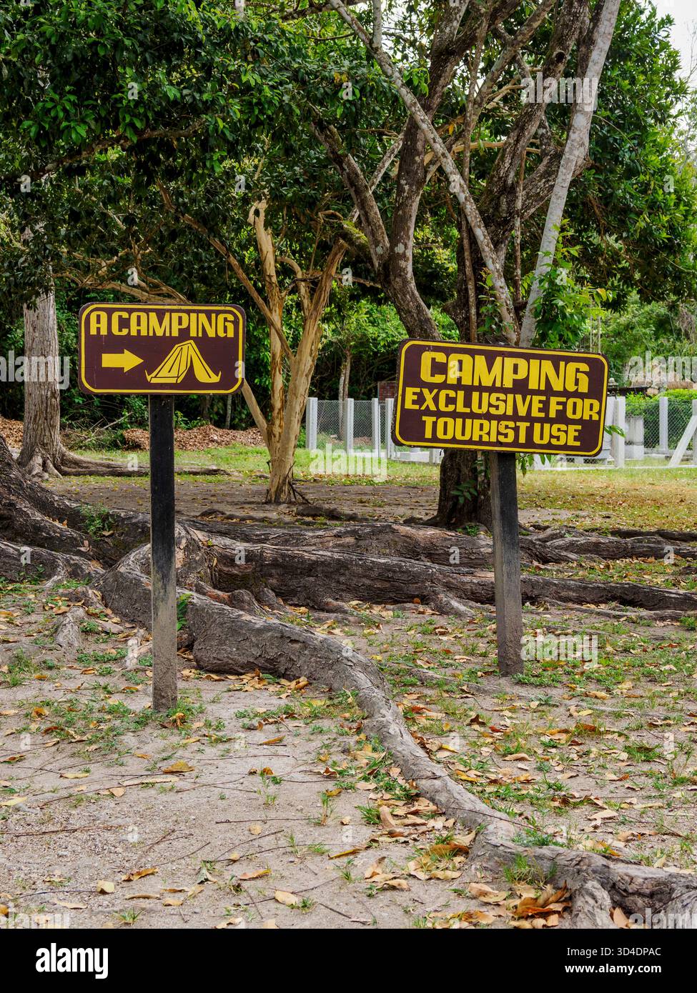 Camping à Tikal, Peten Department, Guatemala Banque D'Images