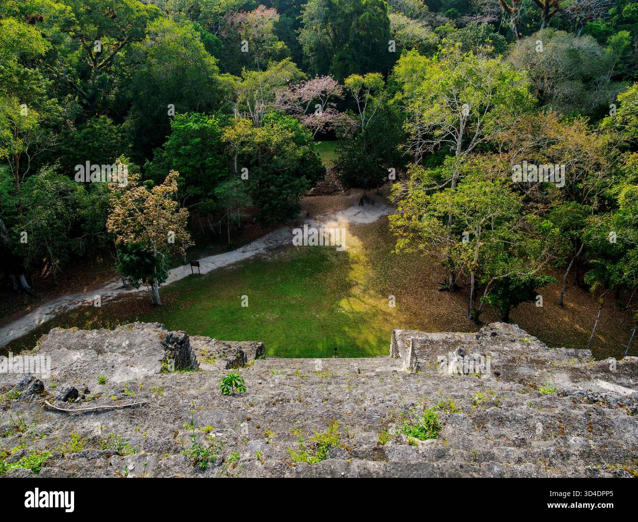 La Grande Pyramide du monde perdu, Mundo Perdido, Tikal, Département de Peten, Guatemala Banque D'Images