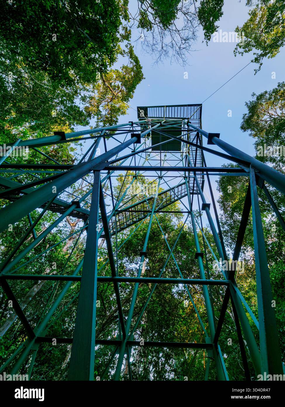 Tour de guet de forêt tropicale près de Tikal, département de Peten, Guatemala Banque D'Images