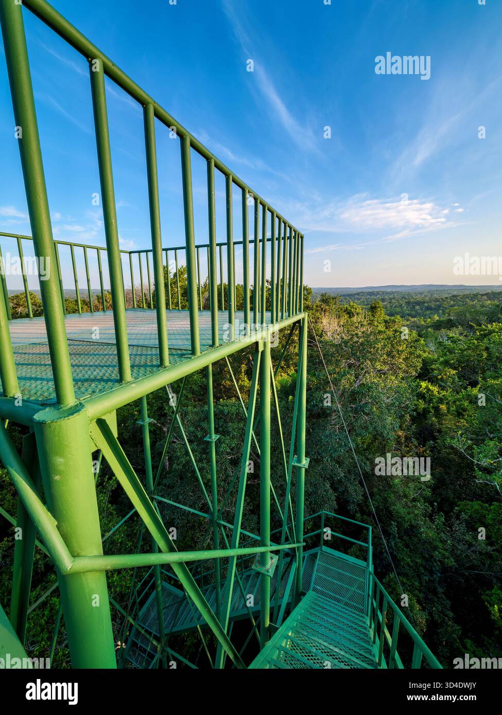 Tour de guet de forêt tropicale près de Tikal, département de Peten, Guatemala Banque D'Images