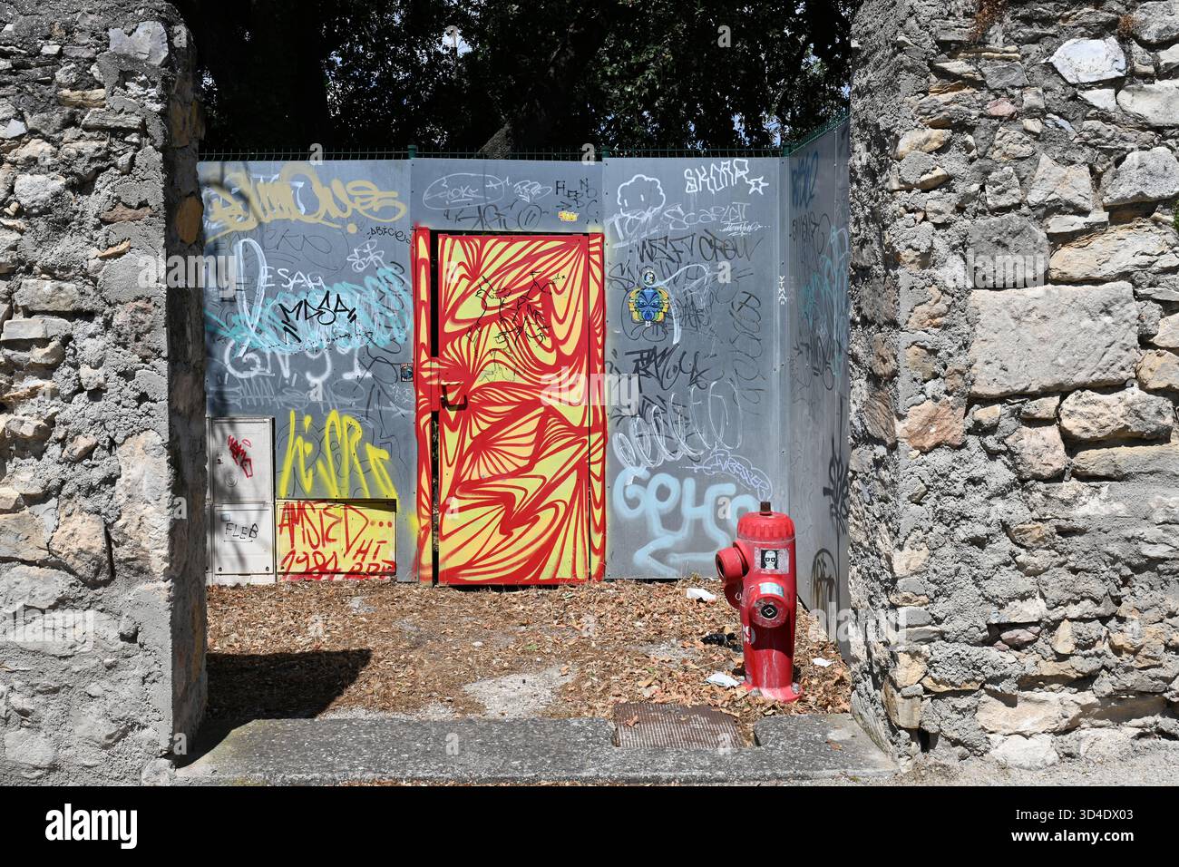 Porte de sécurité en métal ou entrée décorée en graffiti abstrait moderniste avec bouche d'incendie Banque D'Images