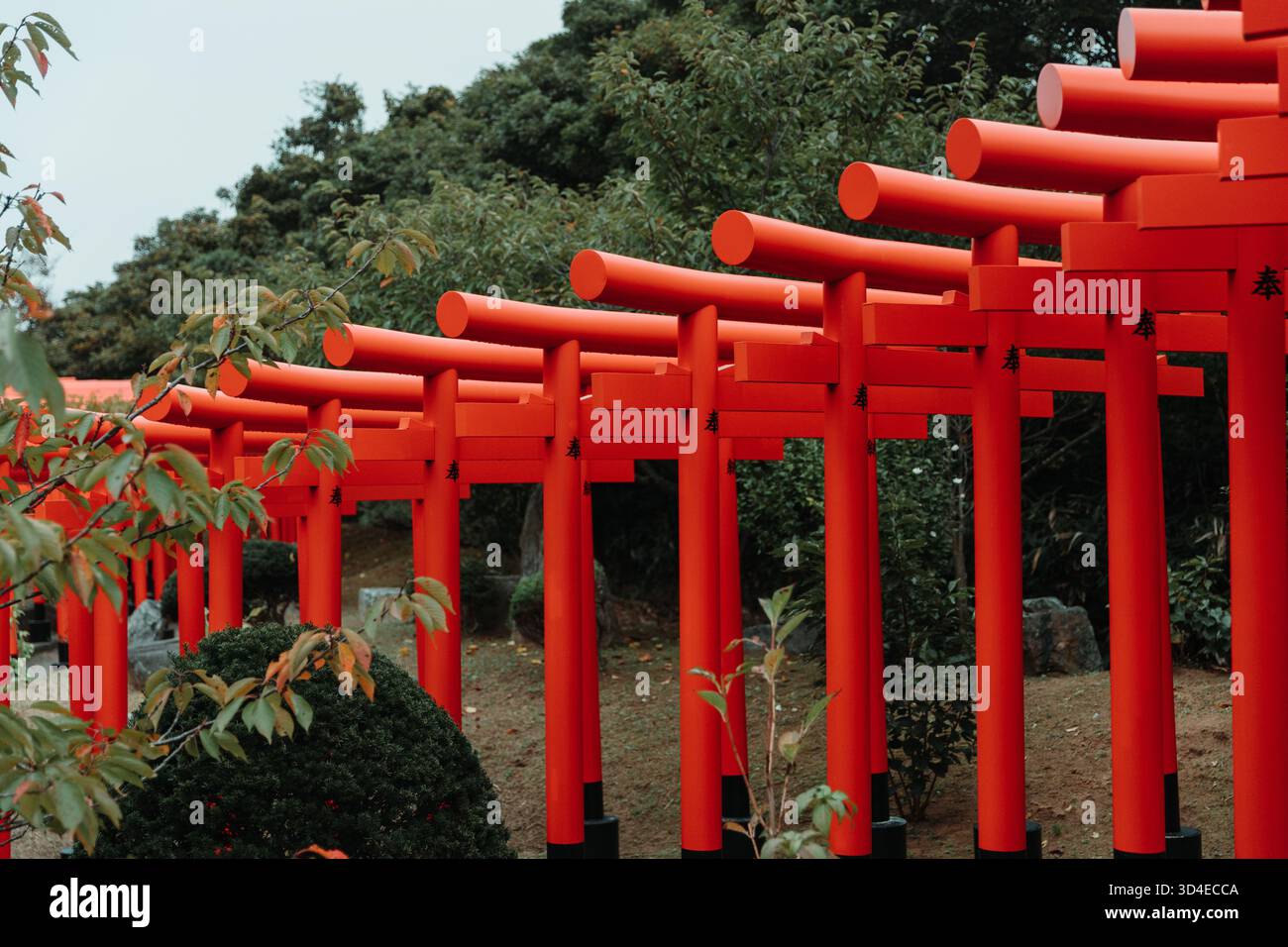 Rangées de portes torii rouges au sanctuaire Takayama Inari, Tsugaru, Aomori, Japon Banque D'Images