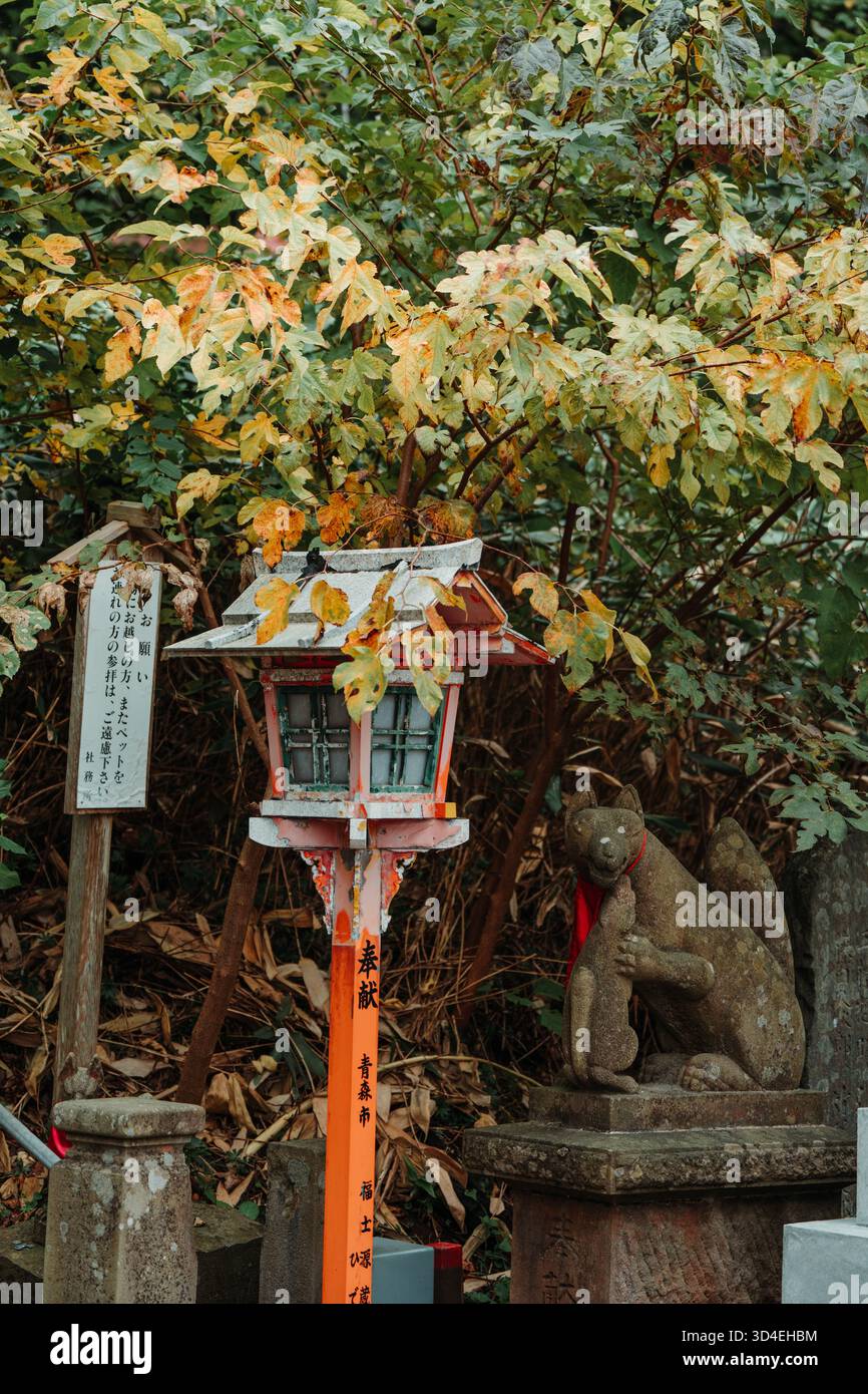 Statue de renard en pierre et lanterne sous les feuilles d'automne au sanctuaire Takayama Inari, Tsugaru, Aomori, Japon Banque D'Images