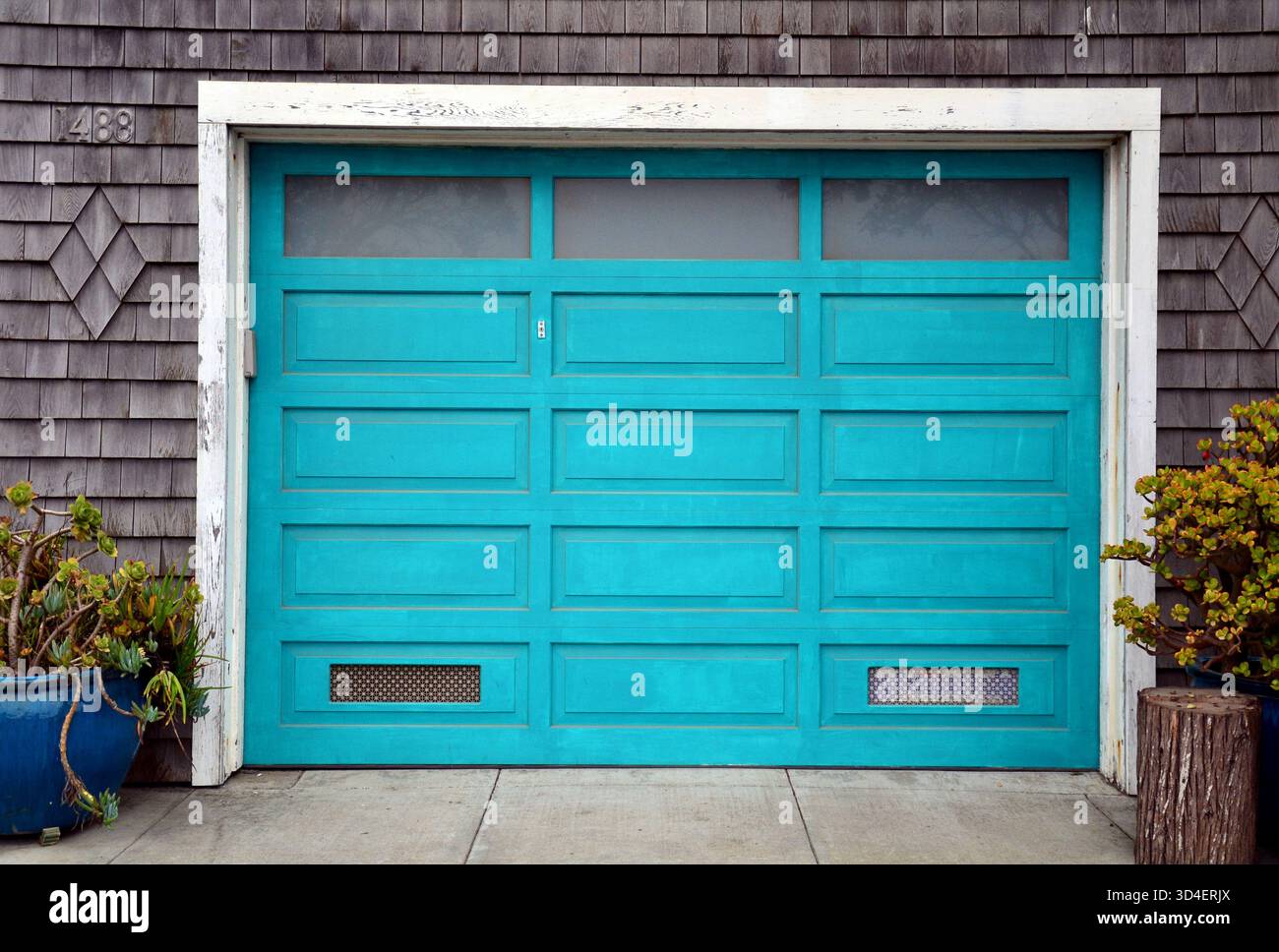 Fleurs de coeur saignantes roses suspendues à une tige arquée, capturées dans le New Jersey avec un fond doux et rêveur Banque D'Images