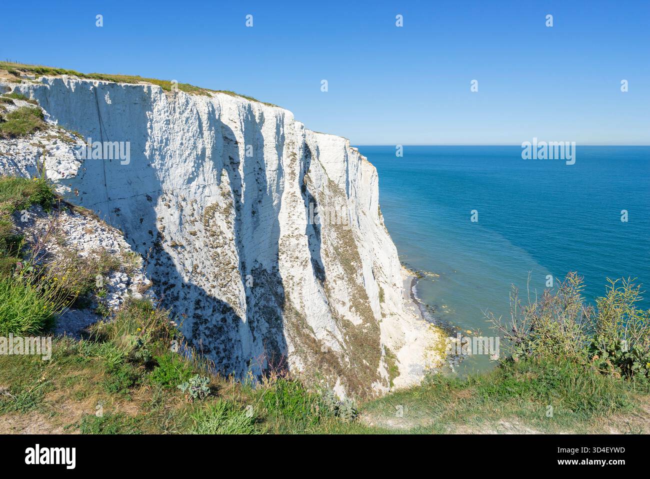 Les falaises blanches de Douvres surplombant la Manche Douvres Angleterre GB Europe Banque D'Images