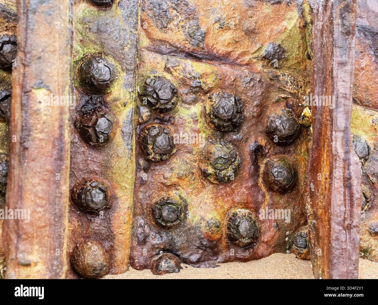 Les restes de l'épave SS John Randolf sur la plage de la baie de Torrisdale sur la côte nord de l'Écosse, au Royaume-Uni. Banque D'Images