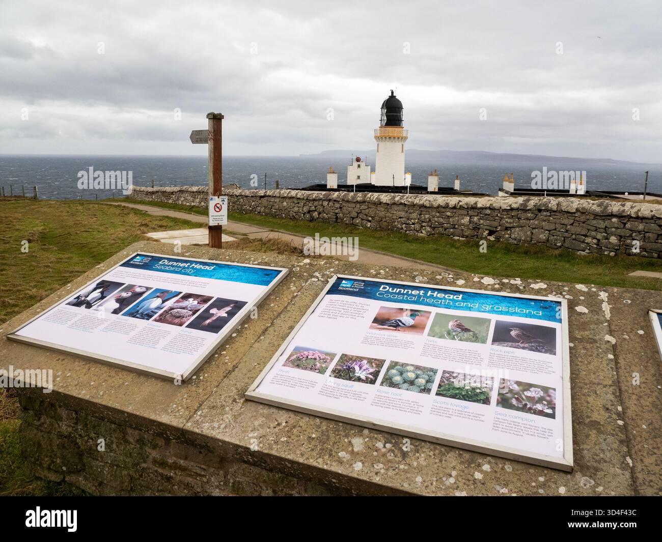 Phare de Dunnet Head, sur Dunnet Head, le point le plus septentrional du continent britannique, sur la côte nord écossaise, au Royaume-Uni avec les îles Orcades derrière. Banque D'Images