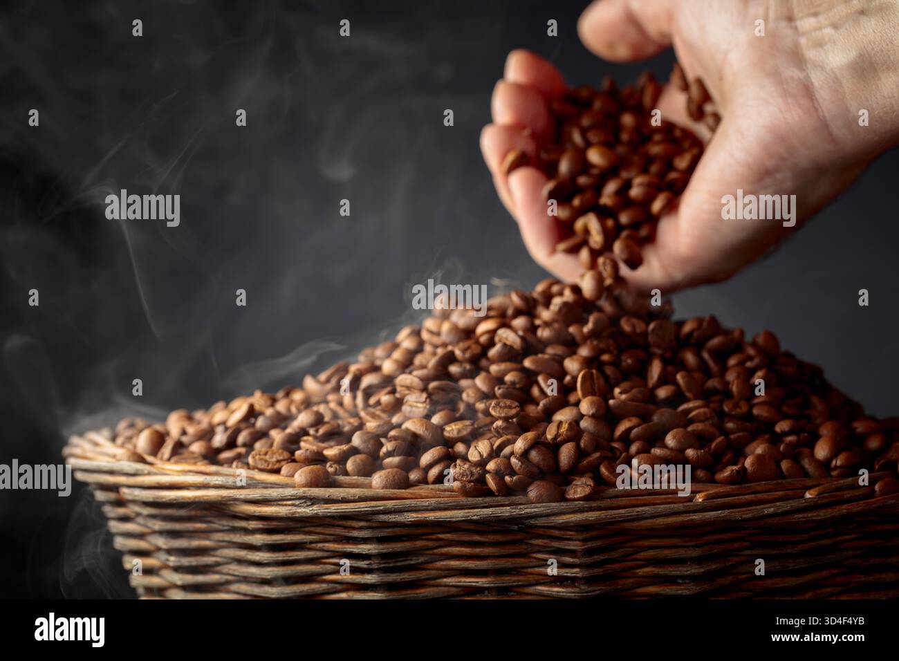 Les grains de café fraîchement torréfiés sont versés dans un panier par la main d'un homme. Cuire des grains de café à la vapeur sur un fond noir. Copier l'espace. Banque D'Images