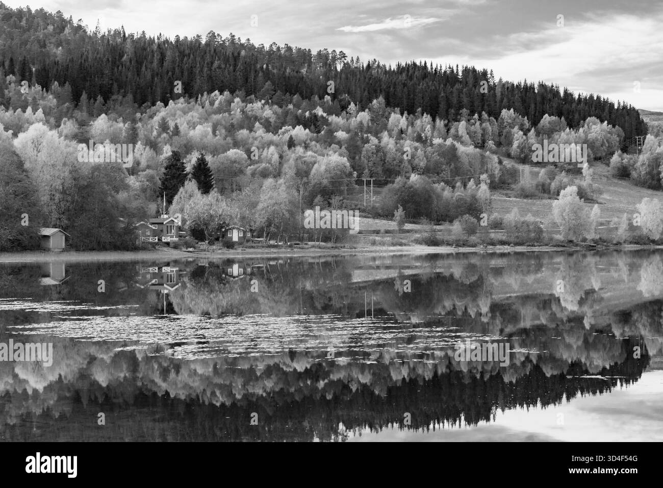 Photo en noir et blanc d'un lac immobile reflétant des collines, des arbres et une petite maison. Scène de campagne large et paisible mettant l'accent sur la symétrie, l'eau calme, Banque D'Images