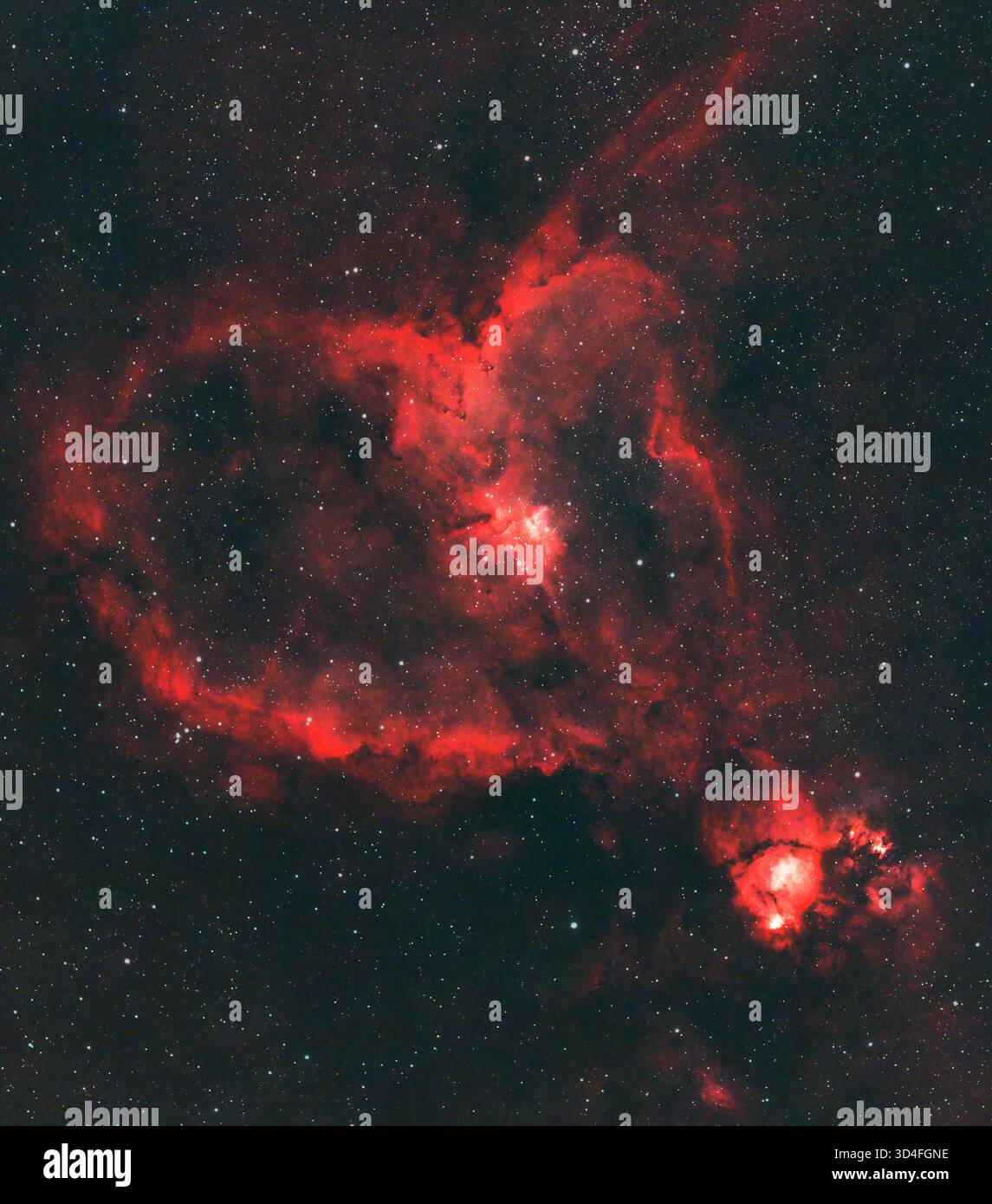 Londres, Royaume-Uni. 9 novembre 2025. La nébuleuse du cœur photographiée dans un ciel clair et clair de lune au-dessus de Londres. Nébuleuse d'émission, elle se trouve à 7 500 années-lumière de la Terre et apparaît brillamment dans cette photographie en exposition longue prise à travers un télescope. Crédit : Malcolm Park/Alamy Banque D'Images