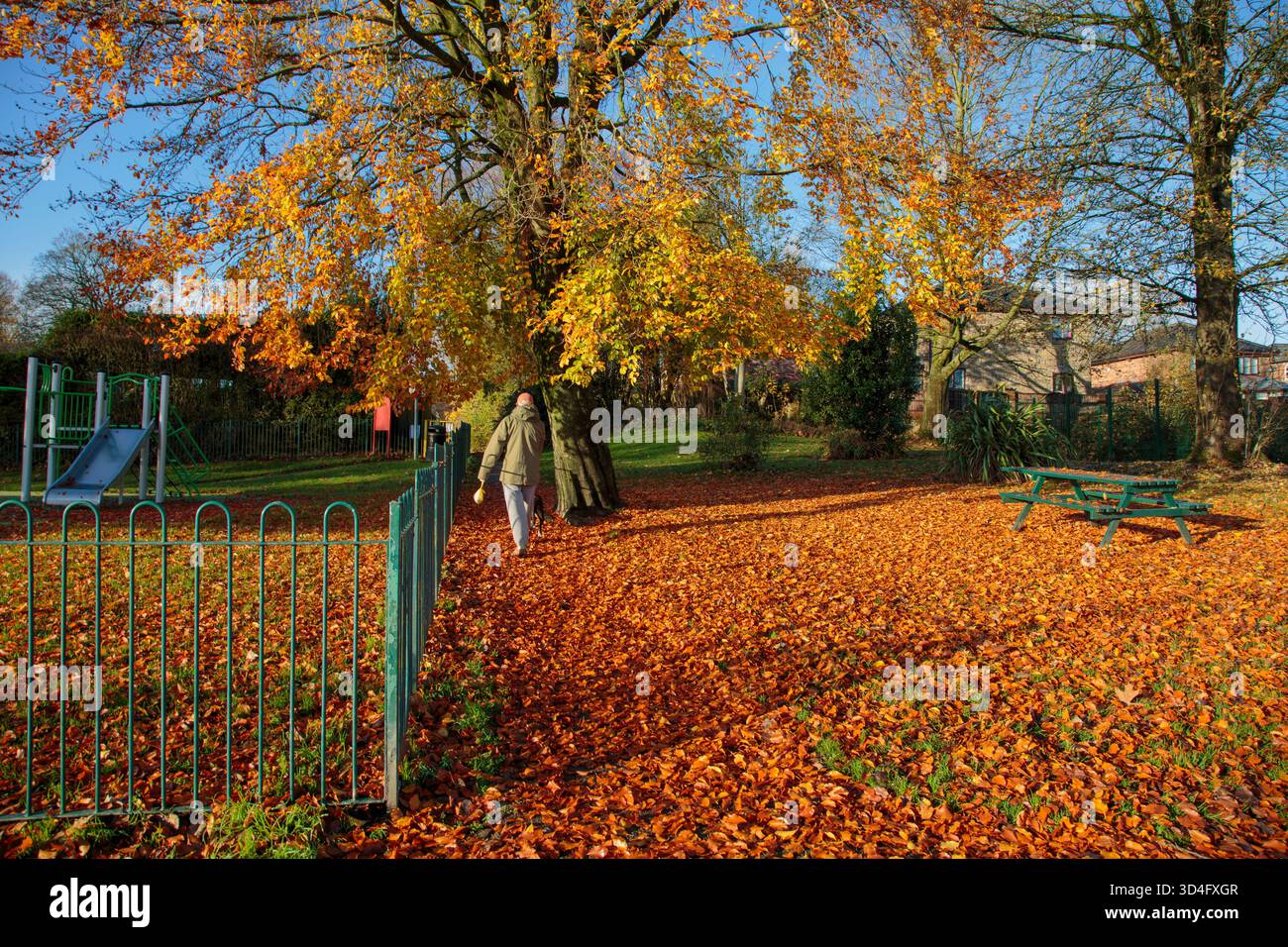 Un promeneur de chien marchant à travers les feuilles d'automne Banque D'Images