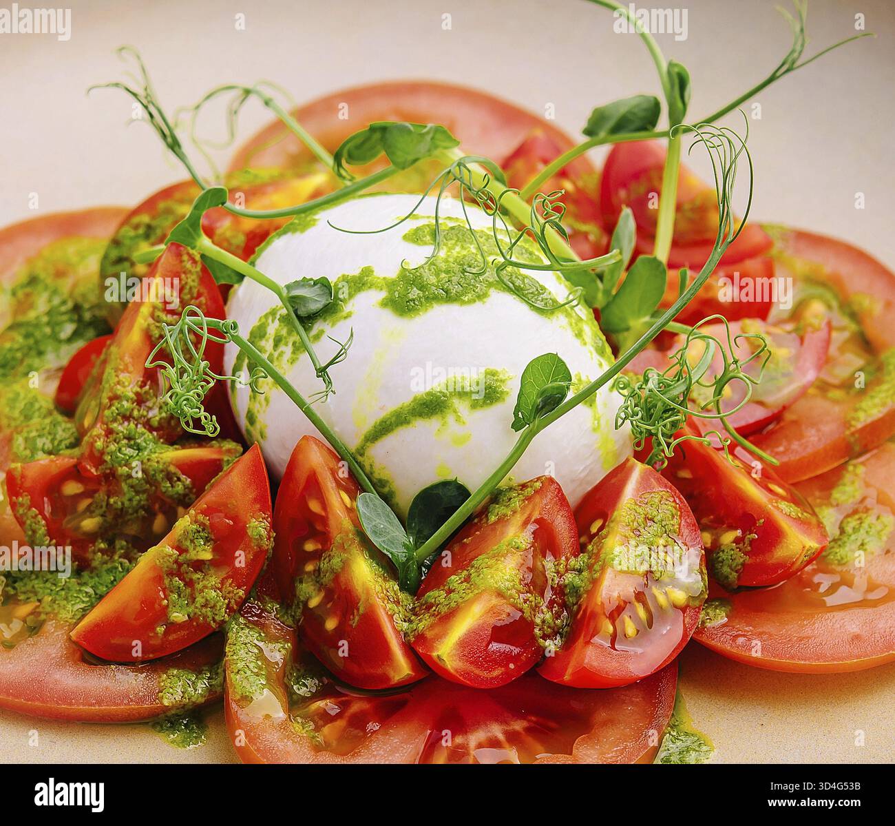 Nourriture, fromage Burrata et salade de tomates servis dans l'assiette Banque D'Images