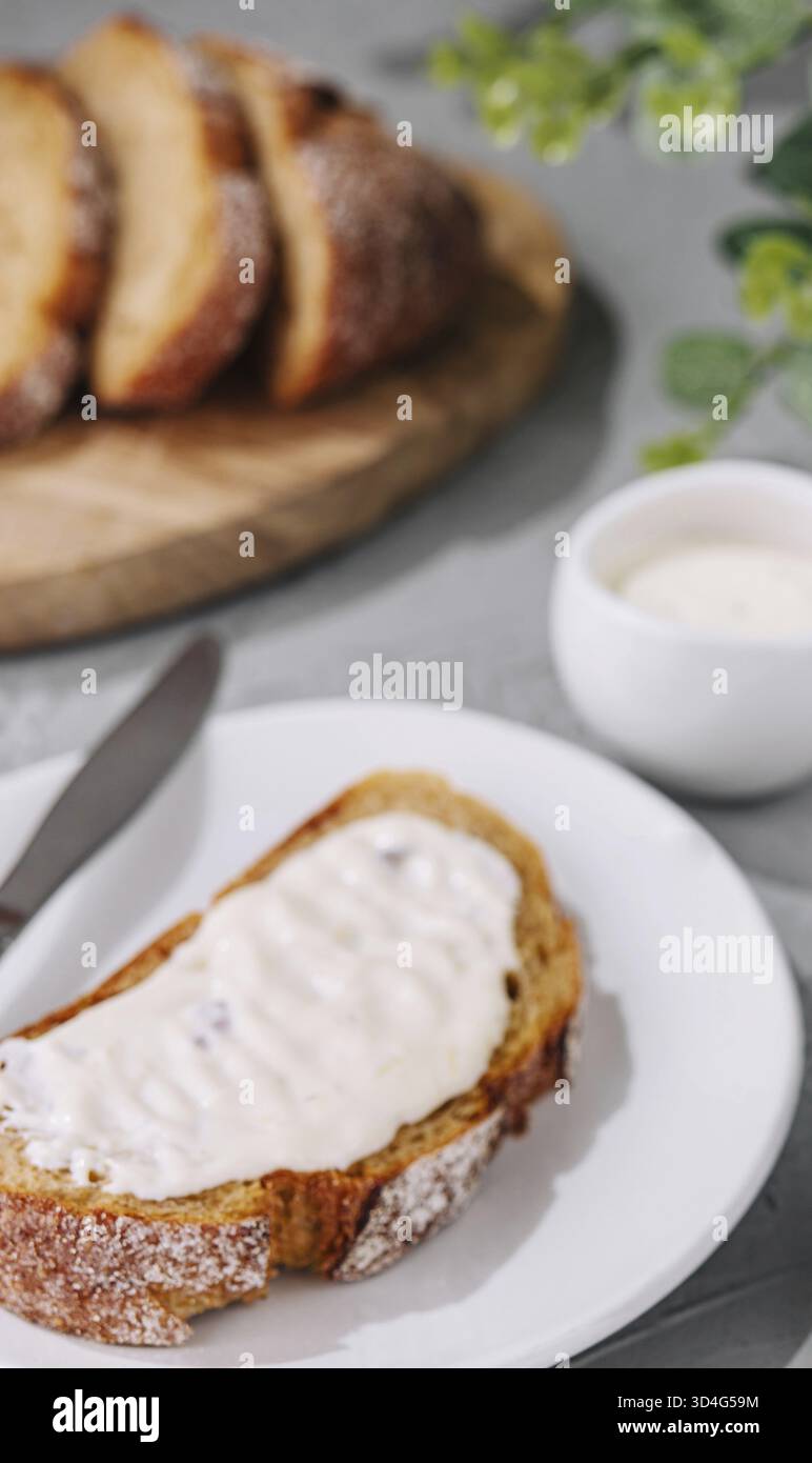 Nourriture, sandwich avec fromage ricotta sur assiette Banque D'Images