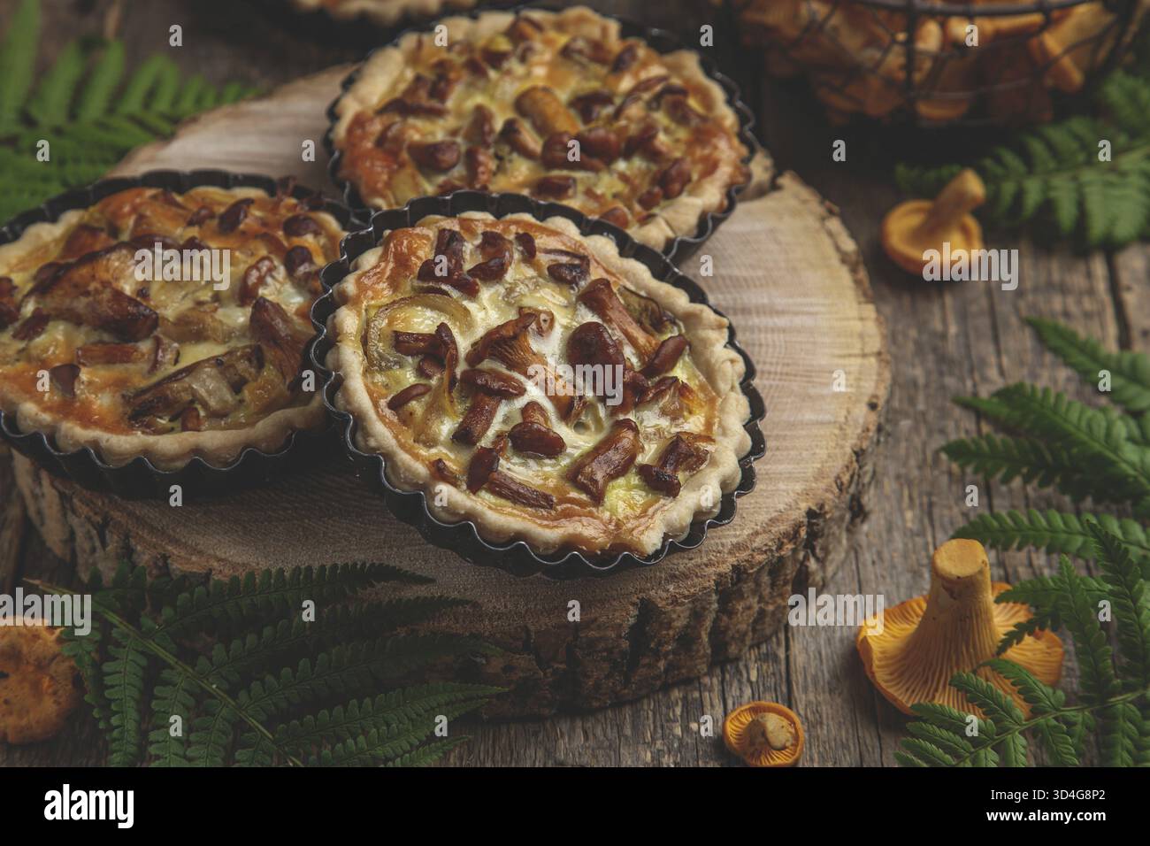 Nourriture, tartes salées aux champignons chanterelles, délicieuse chanterelle et quiche au fromage sur fond rustique en bois, tonifié Banque D'Images