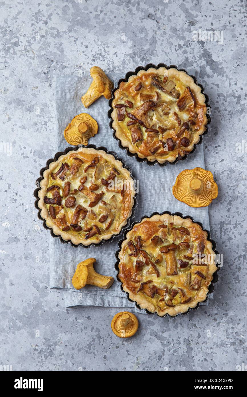 Nourriture, tartes salées avec des champignons chanterelles sur fond de béton gris, vue de dessus Banque D'Images