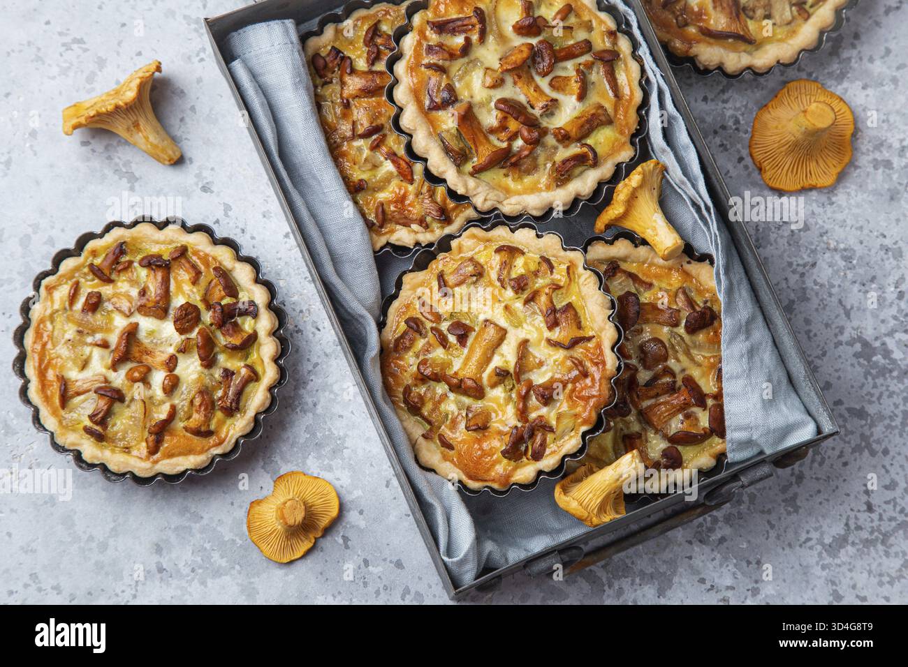 Nourriture, tartes salées avec des champignons chanterelles sur fond de béton gris, vue de dessus Banque D'Images