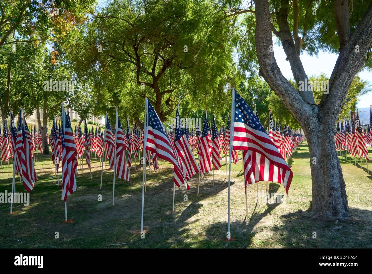 Cathedral City, Californie, États-Unis. 10 novembre 2025. Cette photographie capture quelques-uns des deux mille drapeaux américains installés par des bénévoles pour le 18e hommage annuel Fields of Valor présenté par le Cathedral City Evening Rotary. Ouvert le 8'''14 2025 novembre, l'exposition honore les vétérans locaux, comprend une reconnaissance spéciale pour les récipiendaires Purple Heart et les chiens d'assistance, et est ouvert tous les jours de 8 H à 16 h avec des « Taps » joués à 16 h tous les jours. (Crédit image : © Ian L. Sitren/ZUMA Press Wire) USAGE ÉDITORIAL SEULEMENT ! Non destiné à UN USAGE commercial ! Crédit : ZUMA Press, Inc/Alamy Live News Banque D'Images