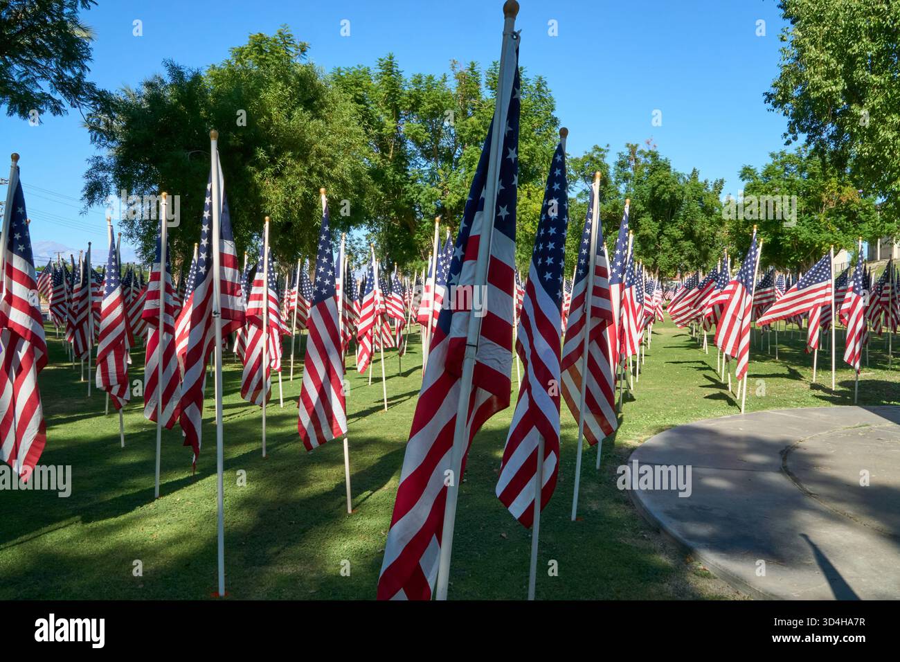 Cathedral City, Californie, États-Unis. 10 novembre 2025. Cette photographie capture quelques-uns des deux mille drapeaux américains installés par des bénévoles pour le 18e hommage annuel Fields of Valor présenté par le Cathedral City Evening Rotary. Ouvert le 8'''14 2025 novembre, l'exposition honore les vétérans locaux, comprend une reconnaissance spéciale pour les récipiendaires Purple Heart et les chiens d'assistance, et est ouvert tous les jours de 8 H à 16 h avec des « Taps » joués à 16 h tous les jours. (Crédit image : © Ian L. Sitren/ZUMA Press Wire) USAGE ÉDITORIAL SEULEMENT ! Non destiné à UN USAGE commercial ! Crédit : ZUMA Press, Inc/Alamy Live News Banque D'Images
