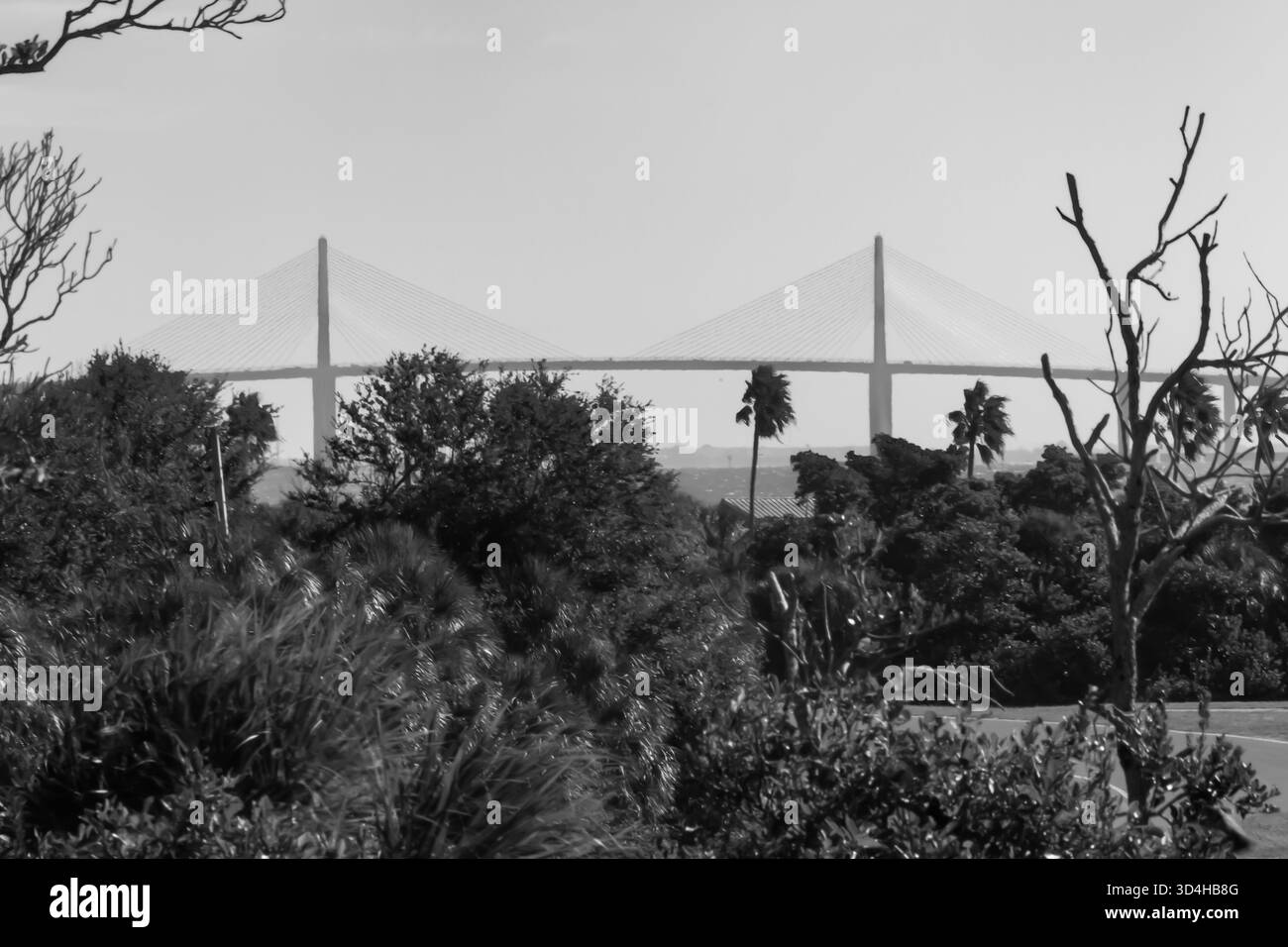 Cette photo emblématique du Sunshine Skyway Bridge capture le paysage côtier à couper le souffle et les eaux chatoyantes du golfe qui s'étendent sur la baie de Tampa. Banque D'Images