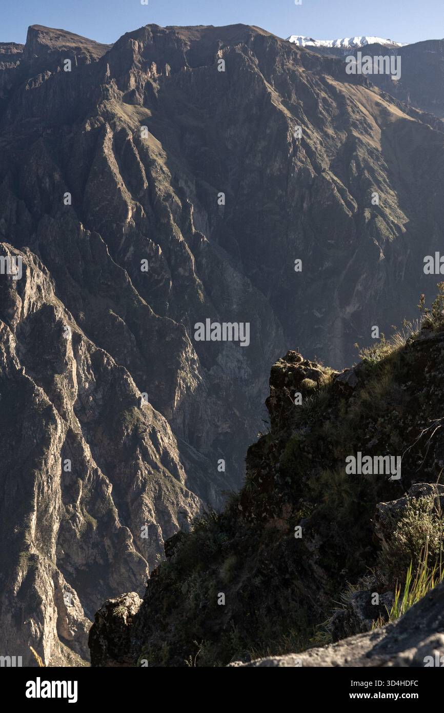 Vue sur l'immense Canyon de Colca, région d'Arequipa, Pérou, montrant les parois verticales abruptes et les formations rocheuses en couches. Banque D'Images