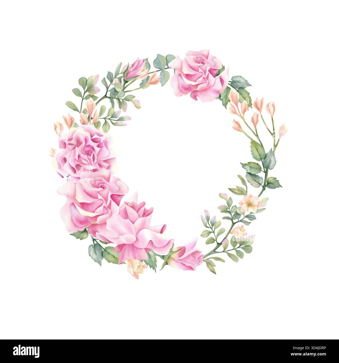 Couronne florale avec rose. Fleur rose aquarelle, cadre de composition de printemps, modèle. Illustration botanique délicate avec des feuilles. freesia isolé Banque D'Images