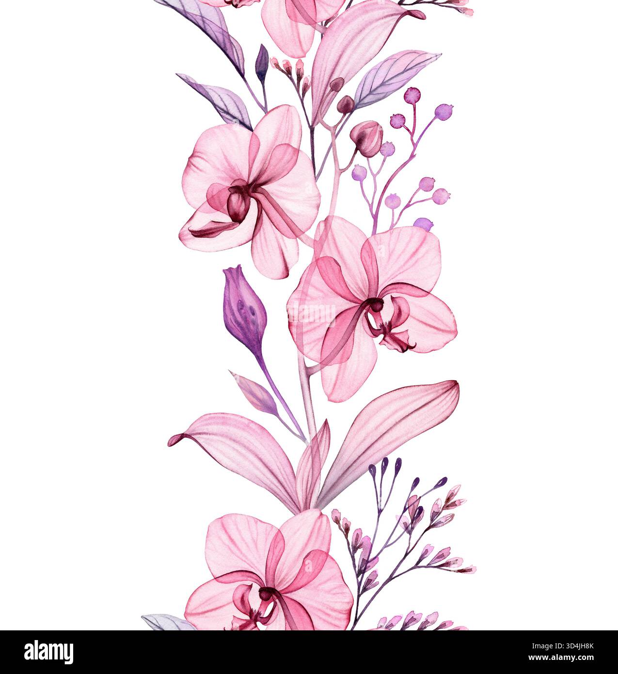 Bordure florale aquarelle. Motif vertical sans couture en répétition. Orchidées et feuilles transparentes abstraites. Illustration botanique isolée dessinée à la main pour Banque D'Images