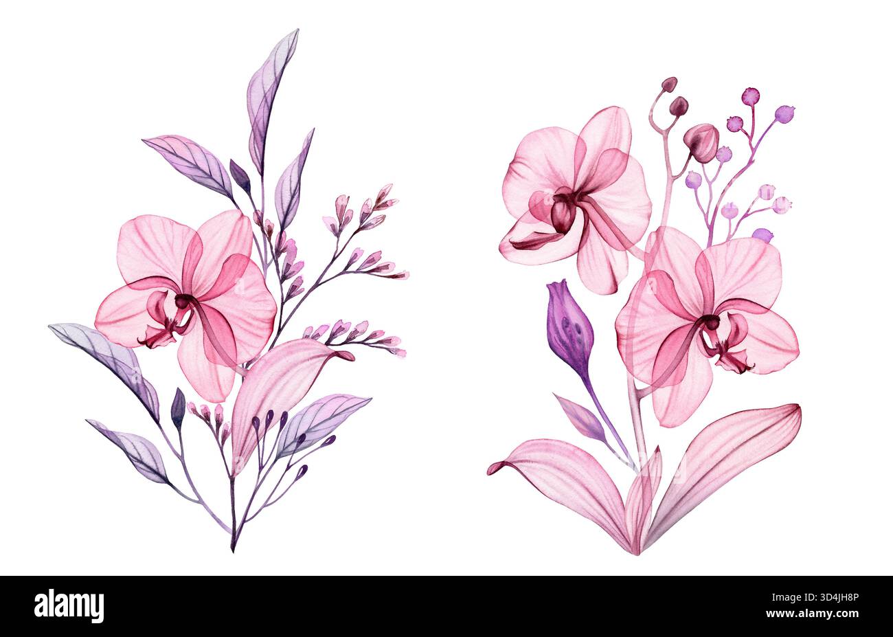 Bouquets floraux à l'aquarelle. Orchidées abstraites transparentes, branches et feuilles en rose poussiéreux et violet. Illustration botanique isolée dessinée à la main pour Banque D'Images