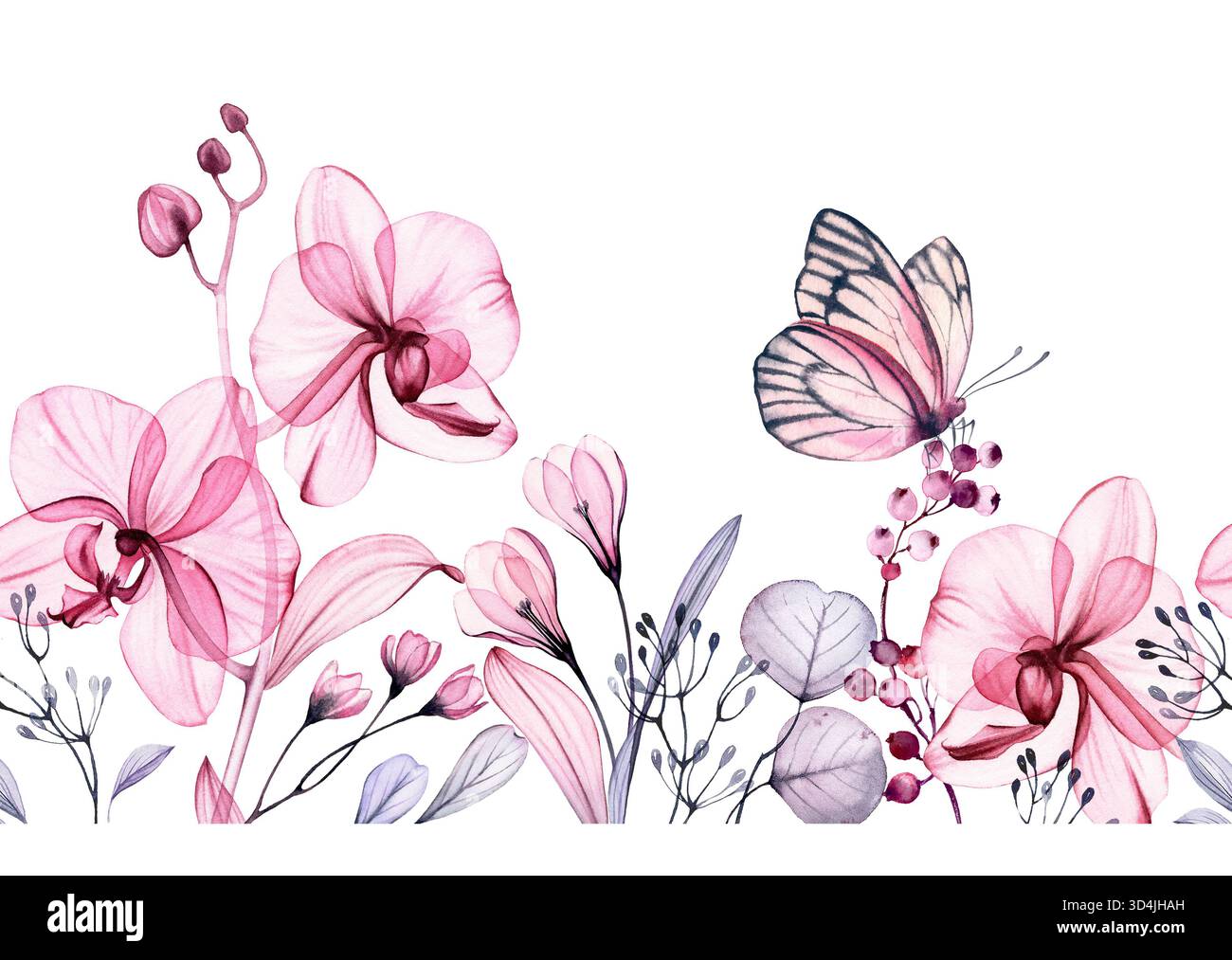 Bordure florale aquarelle. Motif horizontal sans couture en répétition. Orchidées abstraites transparentes, feuilles et papillon. Botanique isolé dessiné à la main Banque D'Images