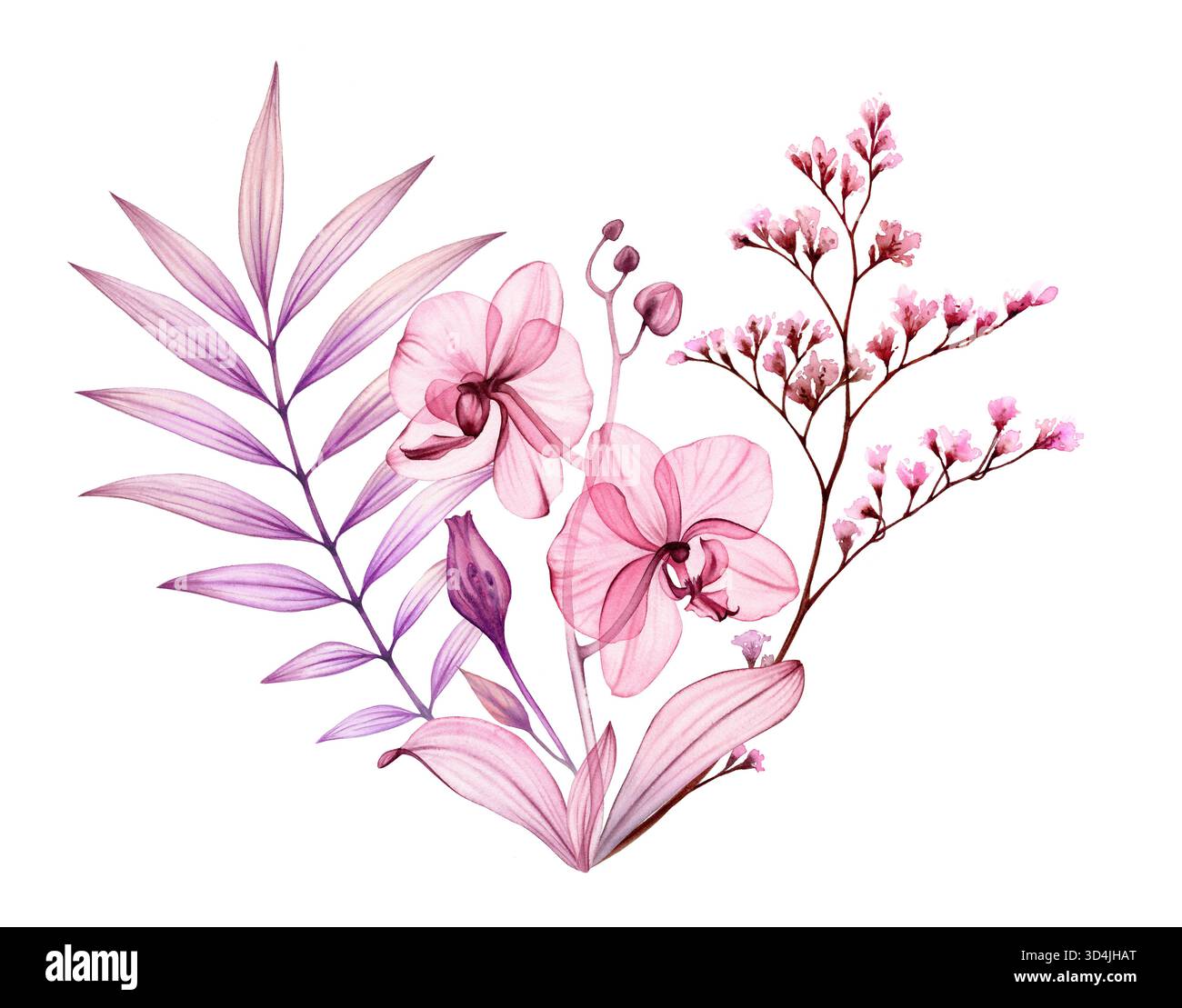 Bouquet tropical aquarelle. Orchidées transparentes abstraites, branches de palmier et feuilles en rose poussiéreux et violet. Botanique isolé dessiné à la main Banque D'Images