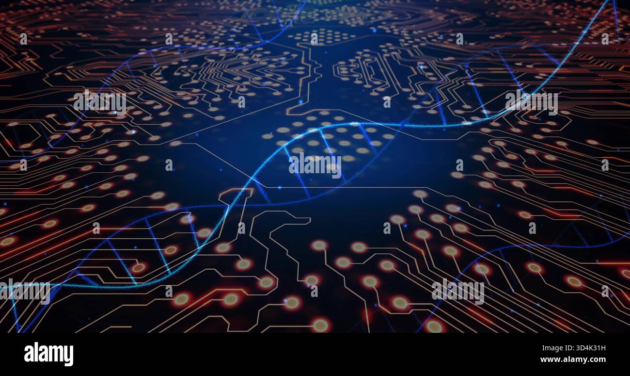 Ruban double hélice bleu brillant traversant le plan-circuit virtuel, avec des nœuds orange-rouge Banque D'Images