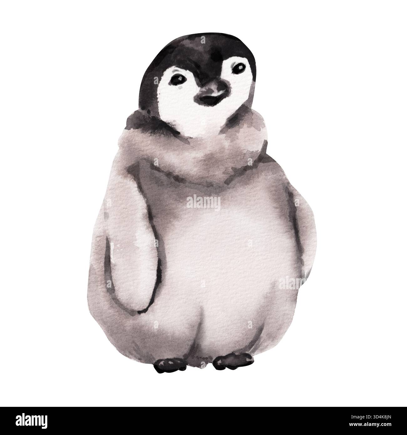 Bébé pingouin. Animaux sauvages au pôle Nord. Aquarelle illustration dessinée à la main d'un bébé pingouin isolé sur blanc. Illustration adaptée à l'impression, Banque D'Images