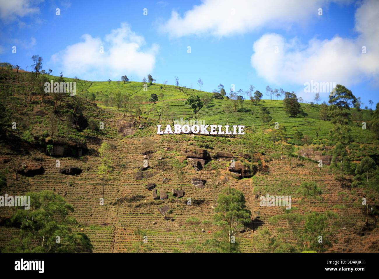 Gampola, Sri Lanka, 13/10/25. Labookellie a été le premier domaine de thé au Sri Lanka par l'écossais James Taylor en 1867, il accueille un charmant salon de thé qui est ouvert Banque D'Images