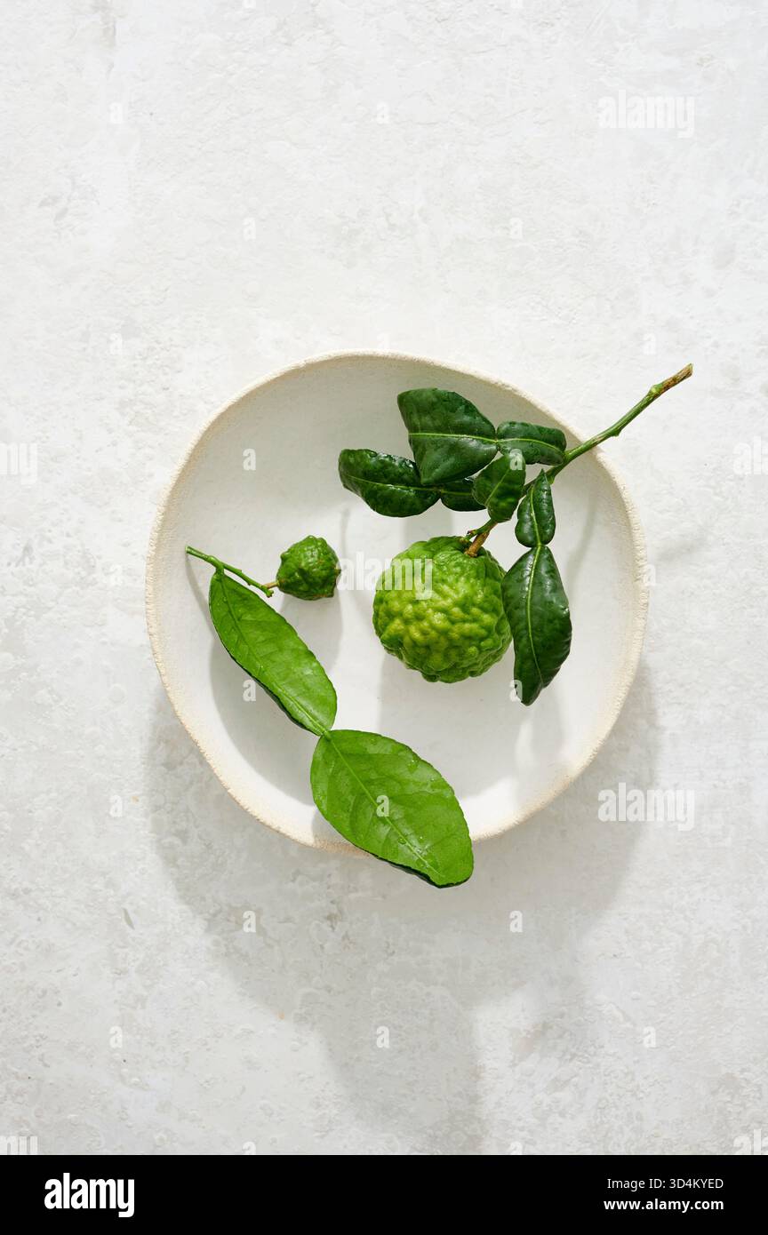 Lime Makrut / feuilles de lime kaffir et fruits dans un bol en céramique fait à la main sur une surface blanche Banque D'Images