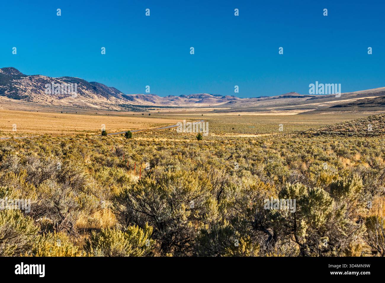 Désert d'Alvord, chaîne de montagnes Steens, vue depuis East Steens Road (autoroute 201), région de High Desert, Oregon, États-Unis Banque D'Images