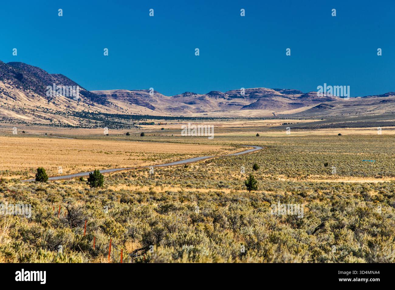 Désert d'Alvord, chaîne de montagnes Steens, vue depuis East Steens Road (autoroute 201), région de High Desert, Oregon, États-Unis Banque D'Images