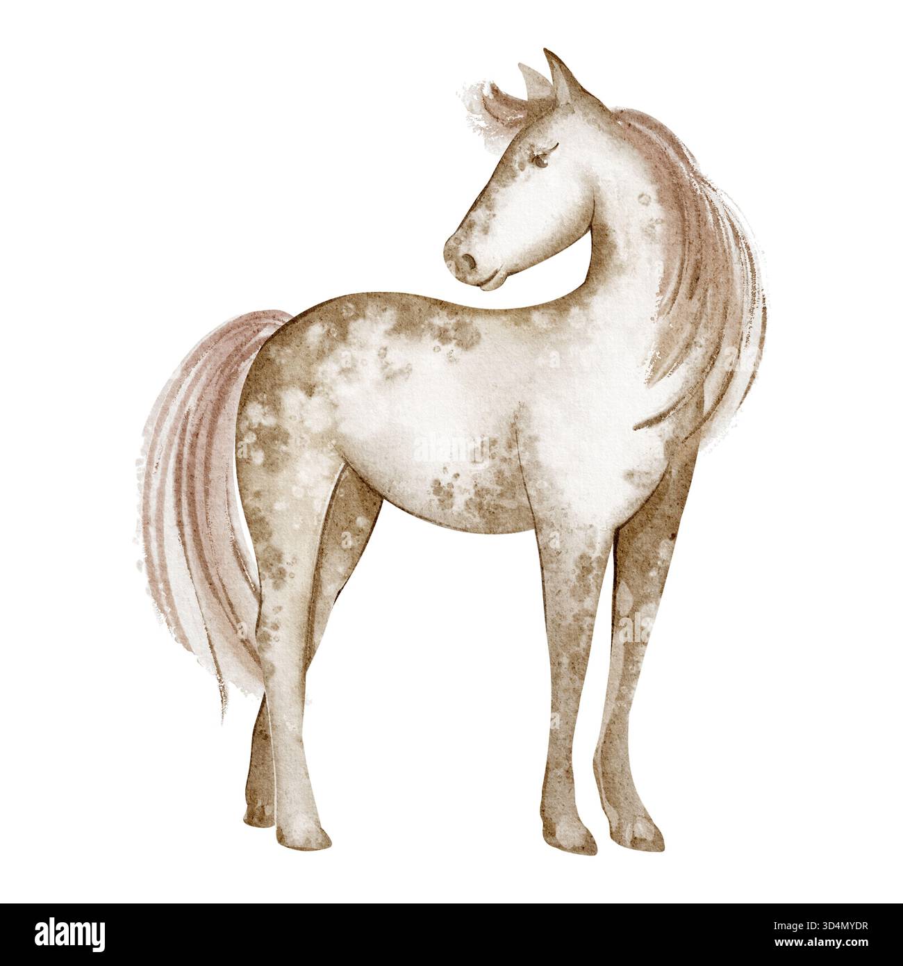 Illustration aquarelle d'un cheval debout dans la pose calme. Animal domestique équin, figure isolée pour affiche, carte ou dessin. Convient pour zoo, vies Banque D'Images